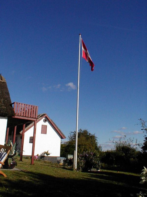 Bulbrovejs Bed & Breakfast Havdrup Экстерьер фото