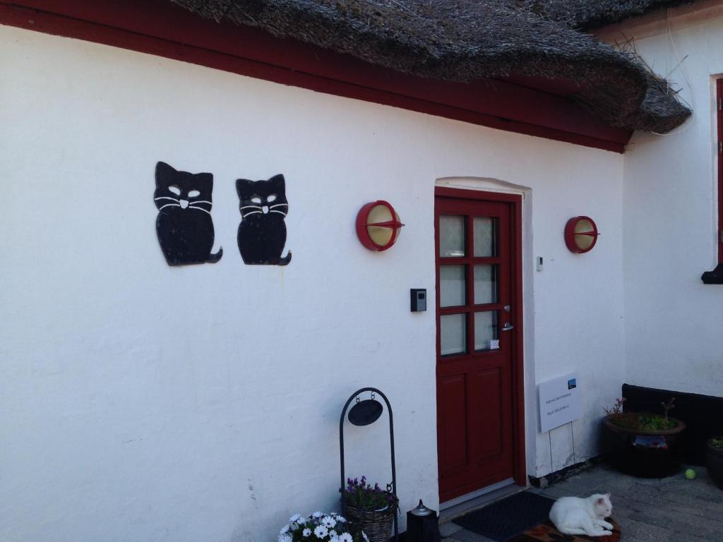 Bulbrovejs Bed & Breakfast Havdrup Экстерьер фото