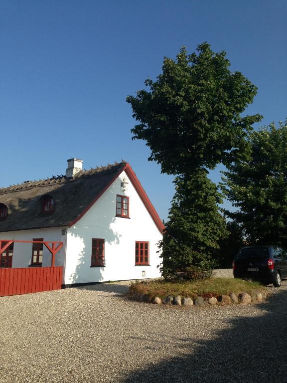 Bulbrovejs Bed & Breakfast Havdrup Экстерьер фото